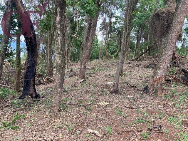 #332 - Terreno para Venda em Jundiaí - SP - 3